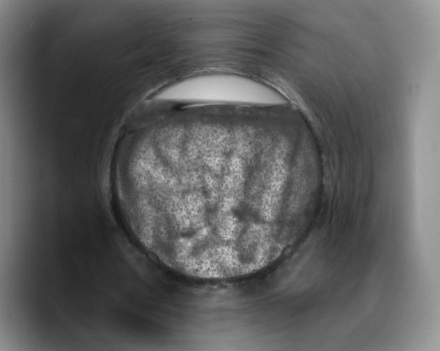 X0000089680386200707201704