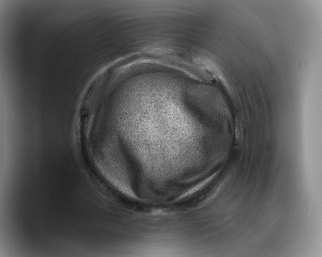 X0000089680388200707201704