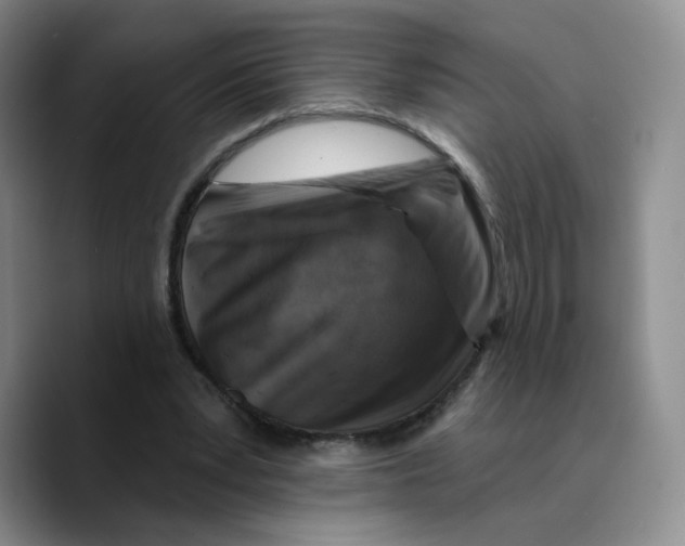 X0000089680391200707201704