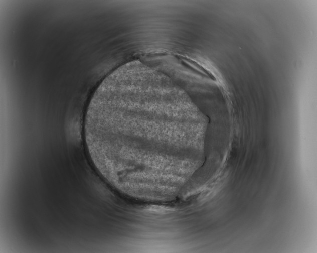 X0000089680393200707201704