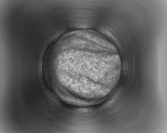 X0000089680394200707201704