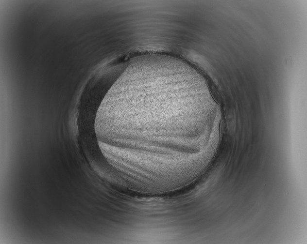 X0000089680395200707201704