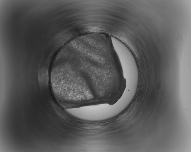 X0000089680397200707201704