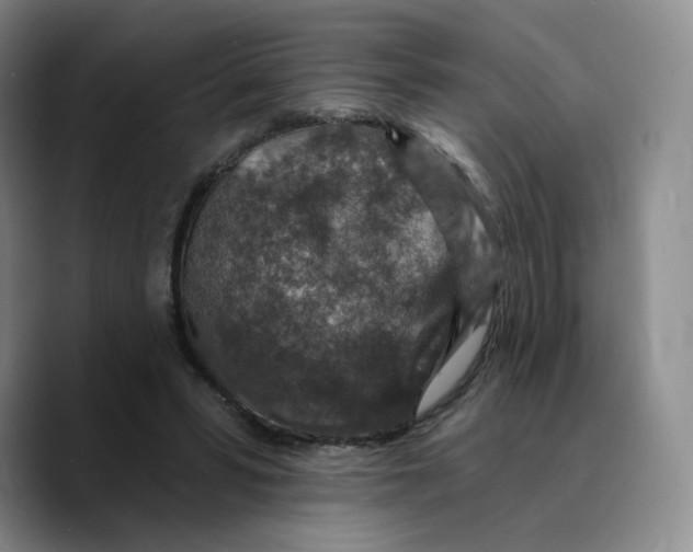 X0000089680399200707201704
