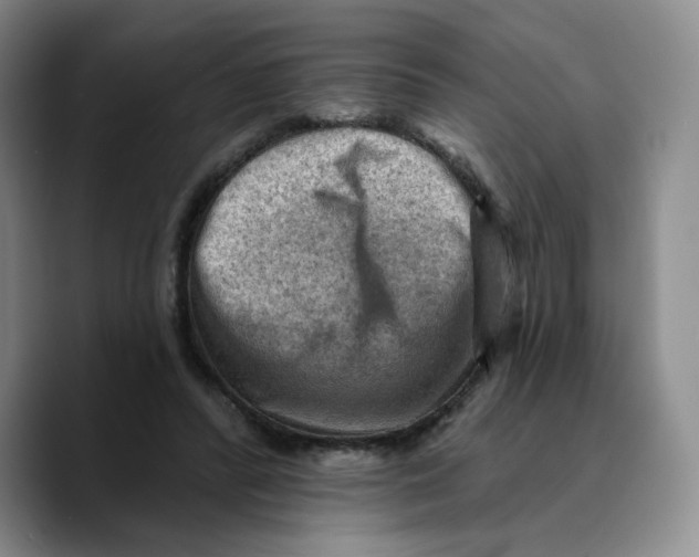 X0000089680400200707201704