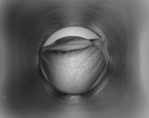 X0000089680401200707201704