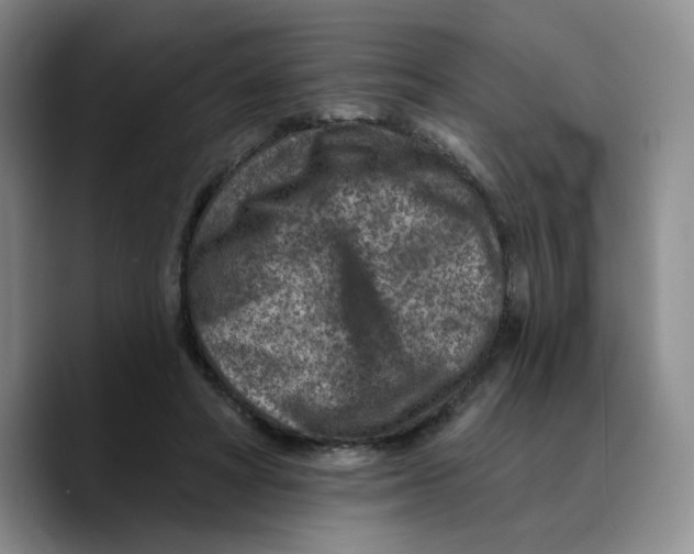 X0000089680402200707201704