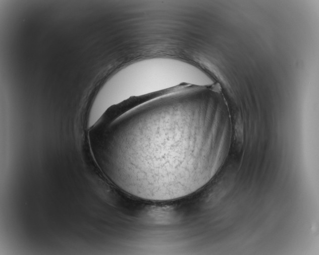 X0000089680403200707201704