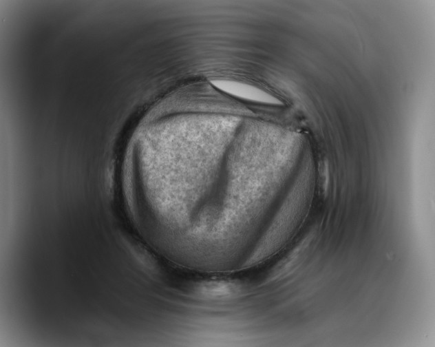 X0000089680404200707201704