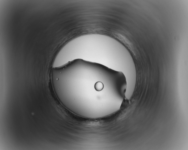 X0000089680405200707201704