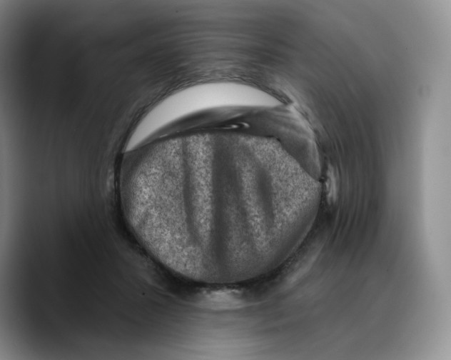 X0000089680407200707201704