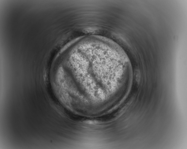 X0000089680408200707201704