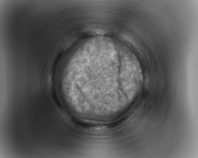 X0000089680410200707201704