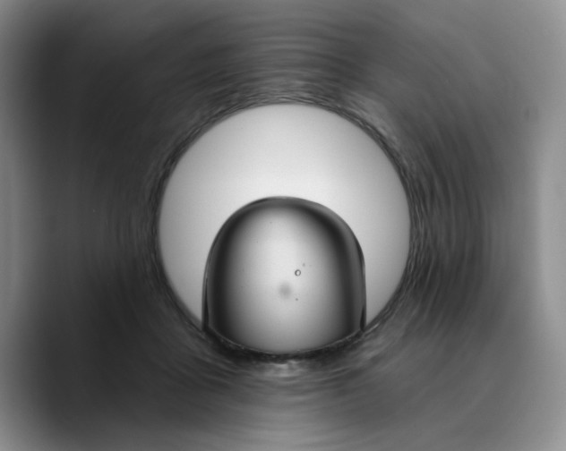 X0000089680411200707201704
