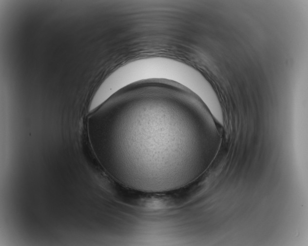 X0000089680412200707201704