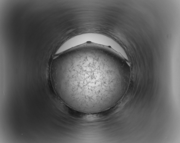 X0000089680413200707201704