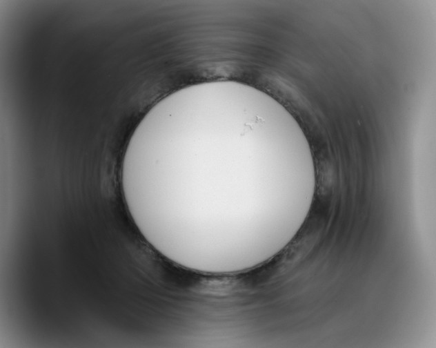 X0000089680414200707201704