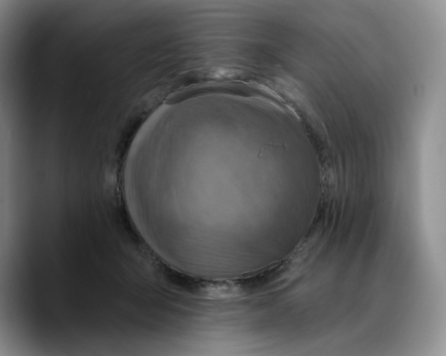 X0000089680415200707201704