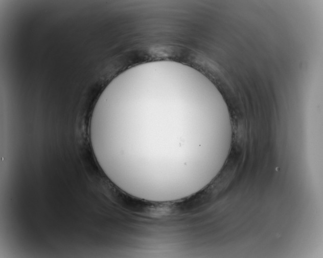 X0000089680418200707201704