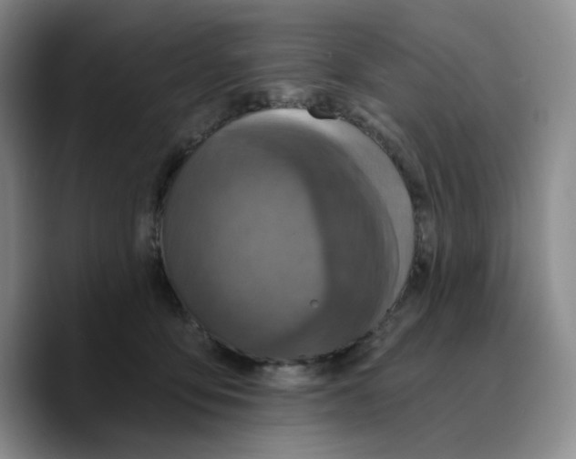 X0000089680419200707201704