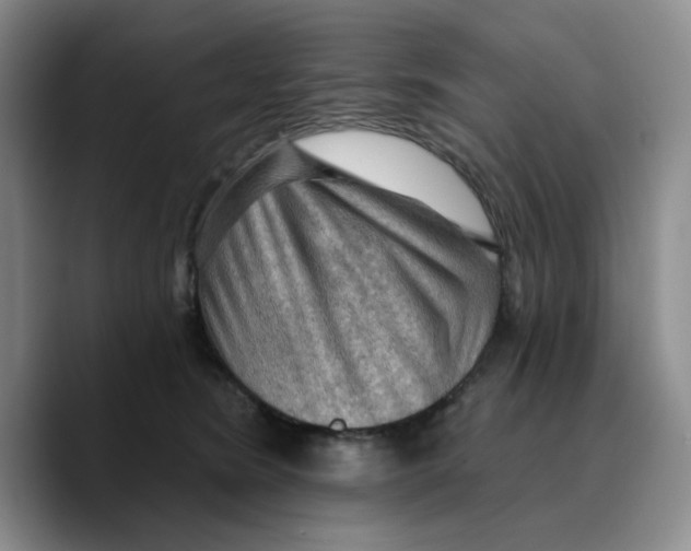 X0000089680420200707201704