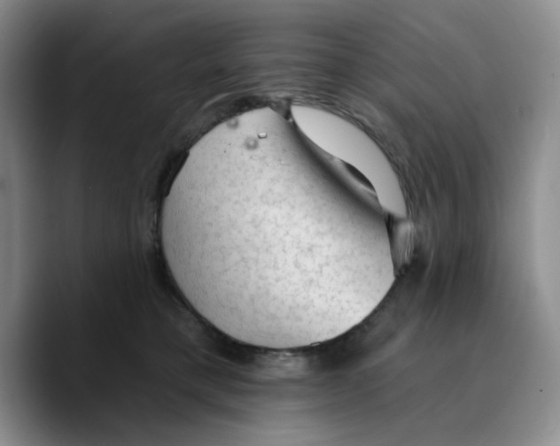 X0000089680421200707201704