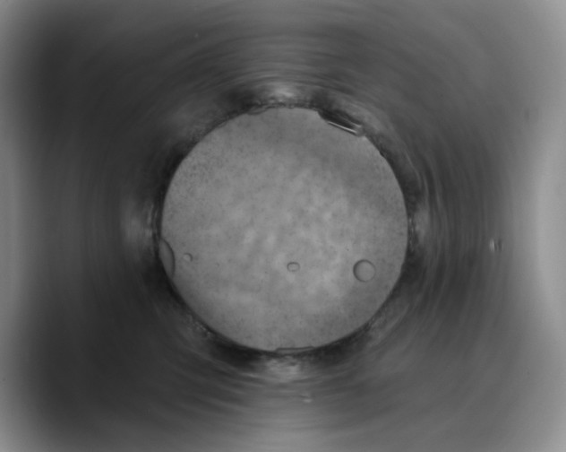 X0000089680423200707201704