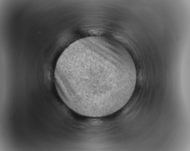 X0000089680424200707201704