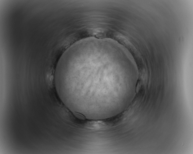 X0000089680427200707201704