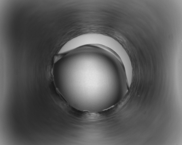 X0000089680429200707201704