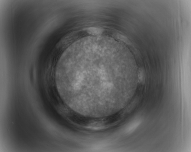 X0000089680431200707201703