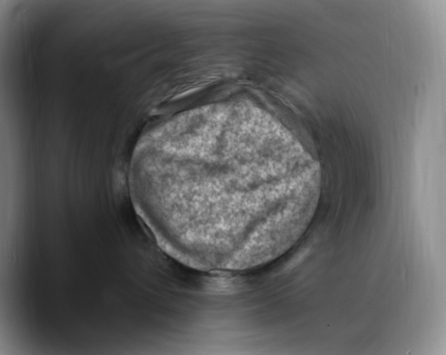 X0000089680432200707201703
