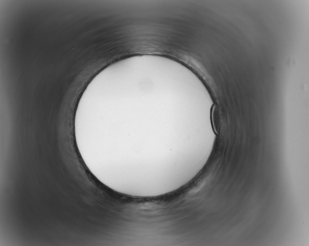 X0000089680433200707201703