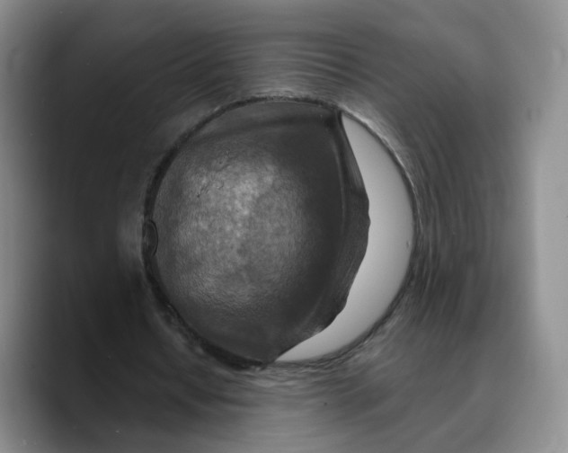 X0000089680434200707201703