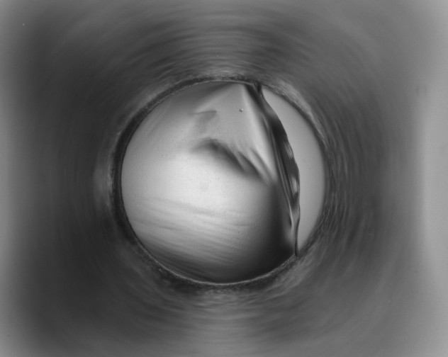 X0000089680435200707201703