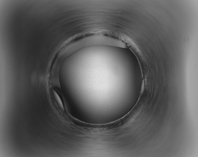X0000089680436200707201703