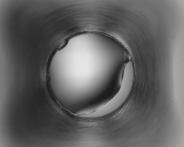X0000089680437200707201703