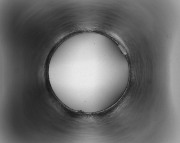 X0000089680439200707201703
