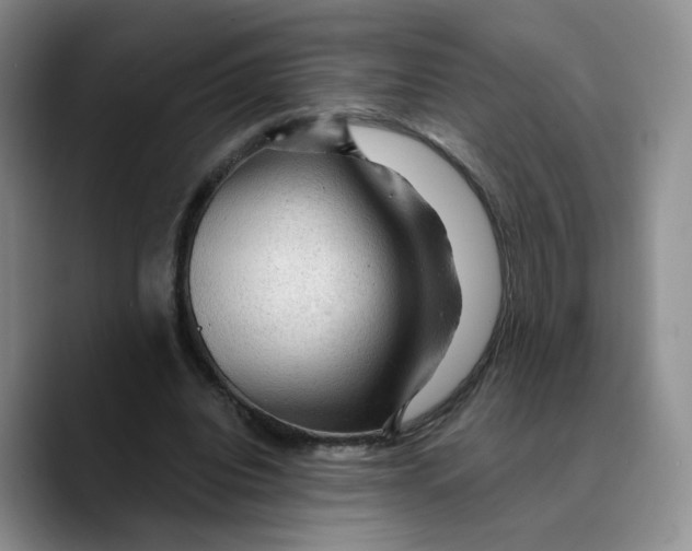 X0000089680440200707201703