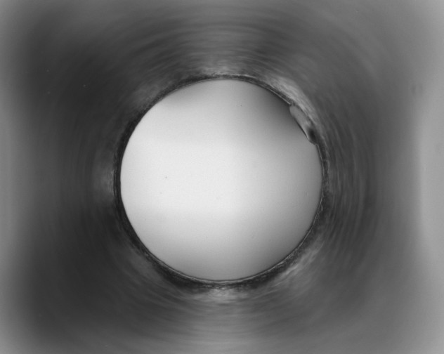 X0000089680441200707201703