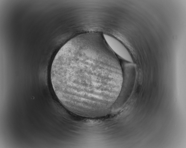 X0000089680442200707201703