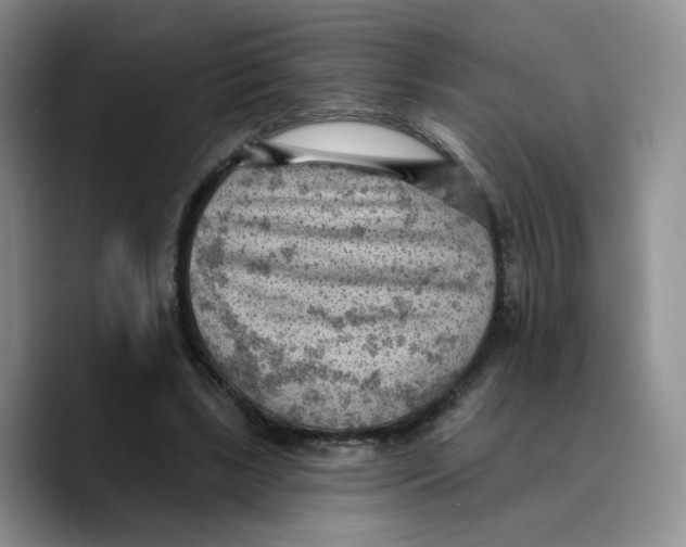 X0000089680443200707201703