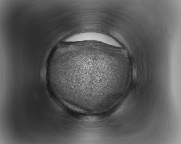 X0000089680444200707201703