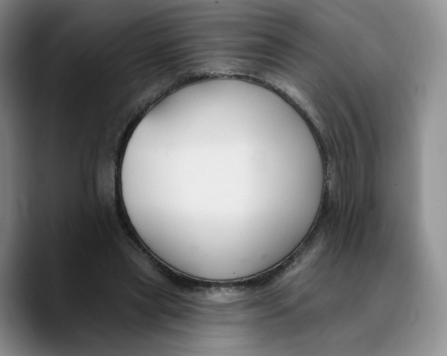 X0000089680445200707201703