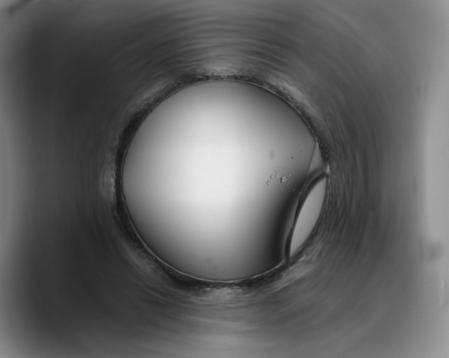 X0000089680446200707201703