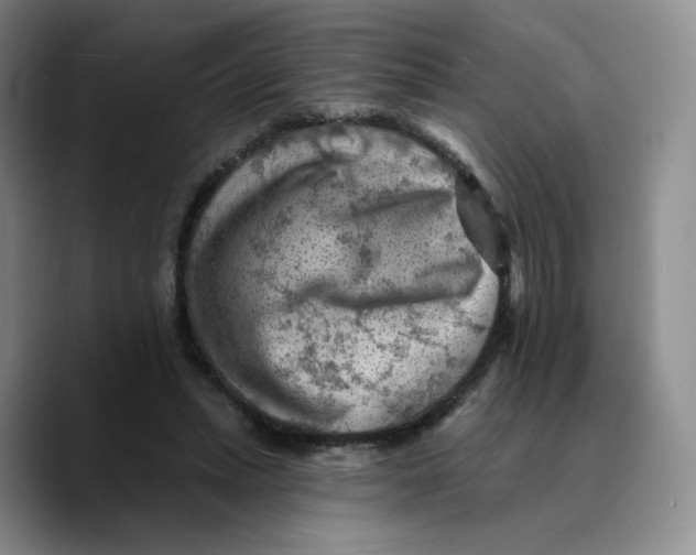 X0000089680447200707201703
