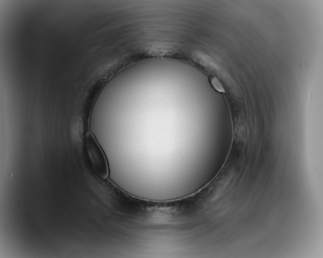 X0000089680448200707201703