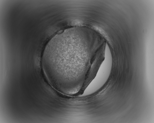 X0000089680449200707201703