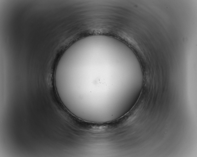 X0000089680450200707201703