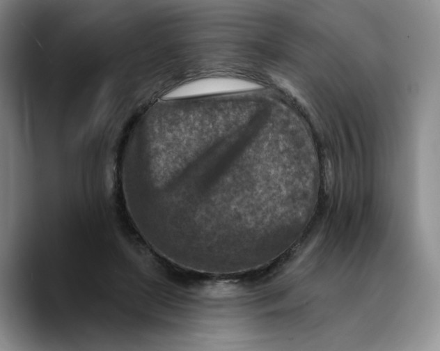 X0000089680451200707201703